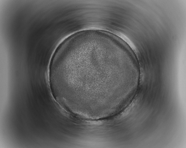 X0000095950996200801251126