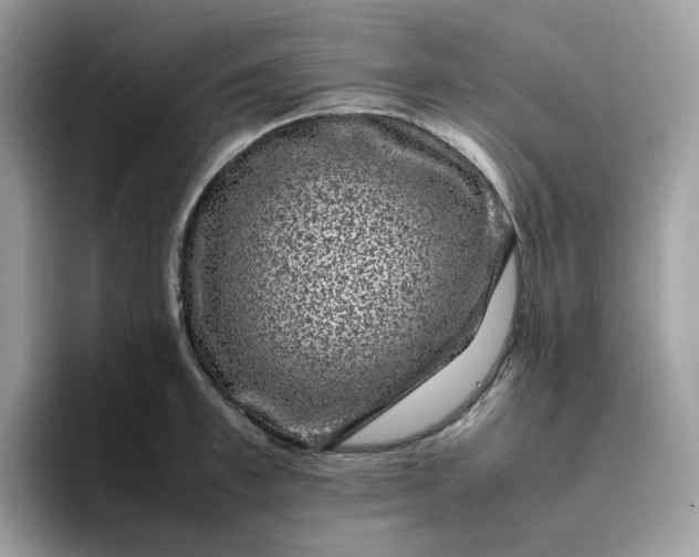 X0000095950997200801251126