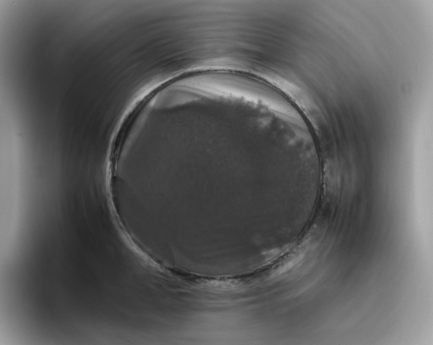 X0000095950998200801251126