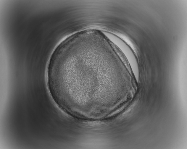 X0000095950999200801251126