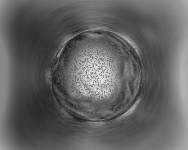 X0000095951001200801251126