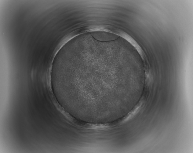 X0000095951002200801251126