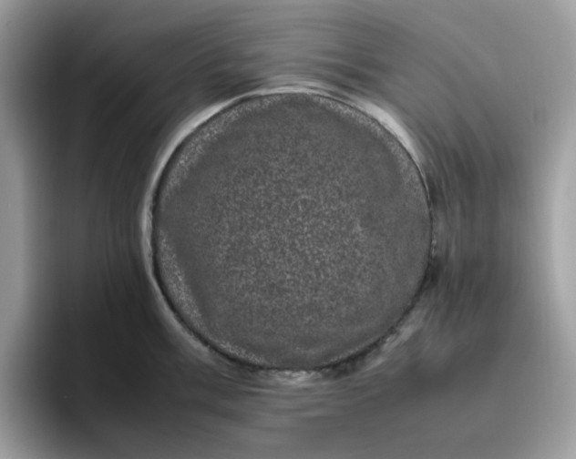 X0000095951003200801251126