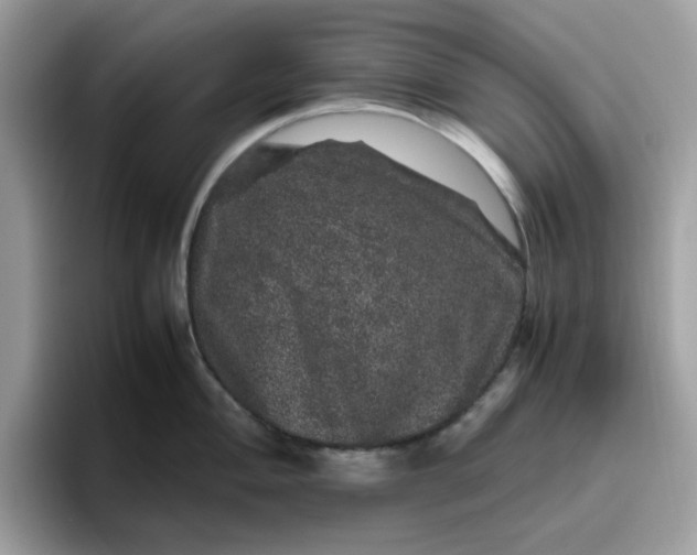 X0000095951004200801251126