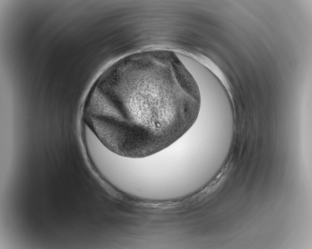 X0000095951005200801251126