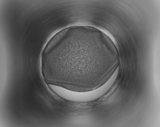 X0000095951006200801251126