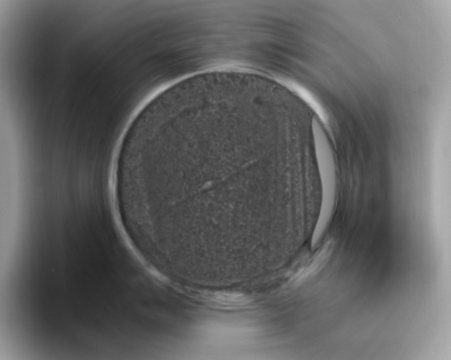 X0000095951007200801251126