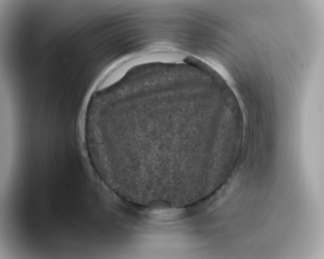 X0000095951008200801251126