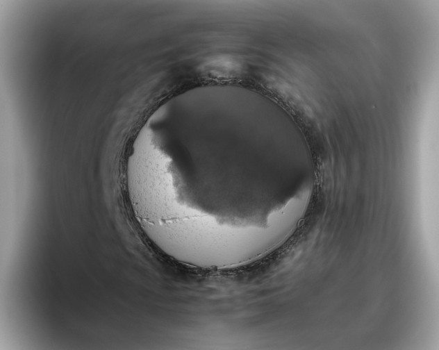 X0000095951009200801251125