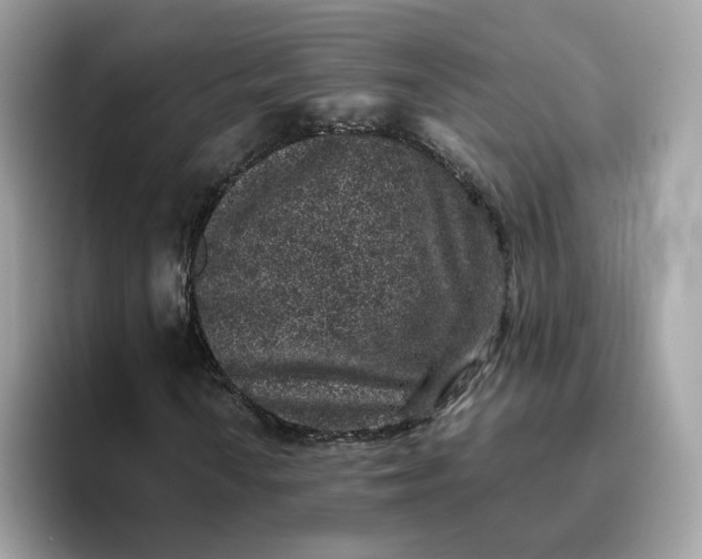 X0000095951010200801251125