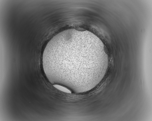 X0000095951012200801251125