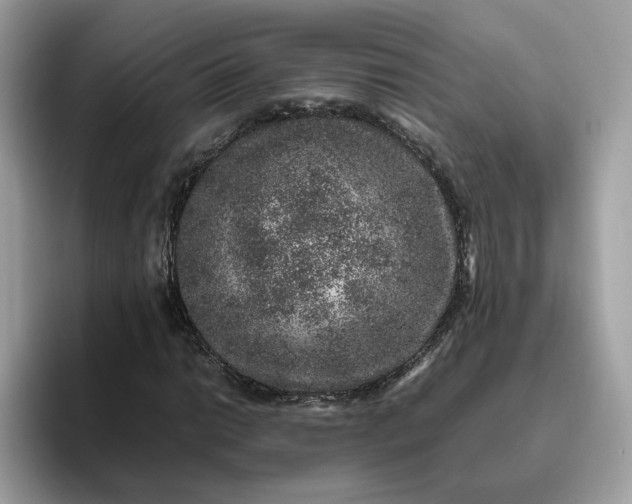 X0000095951014200801251125