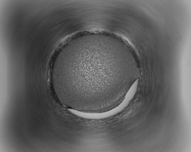 X0000095951016200801251126