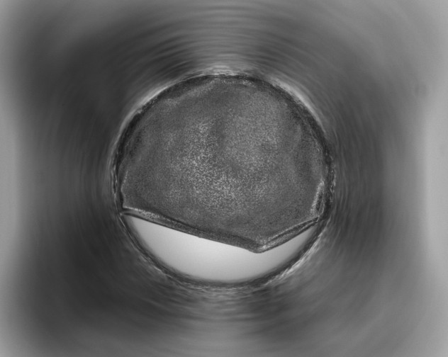 X0000095951018200801251126