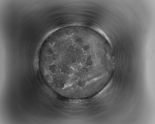 X0000095951019200801251126