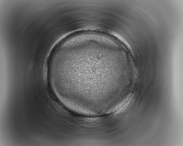 X0000095951021200801251126