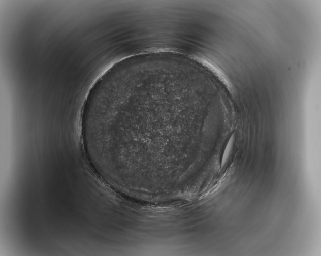 X0000095951023200801251126