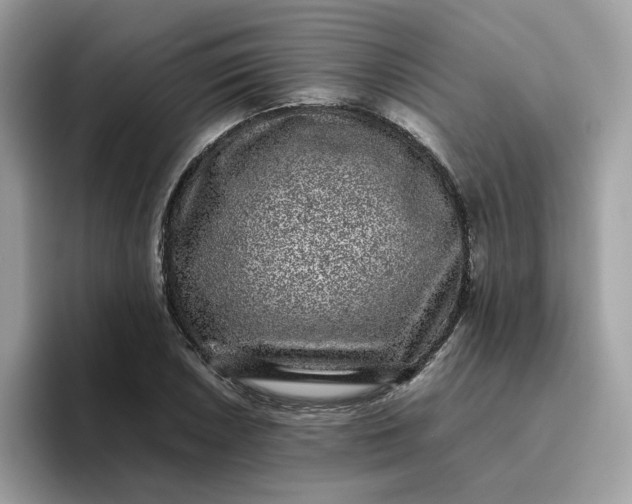 X0000095951026200801251126