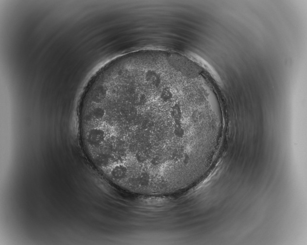 X0000095951027200801251126