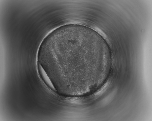 X0000095951028200801251126