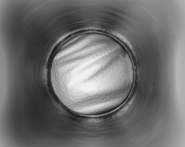 X0000095951029200801251126