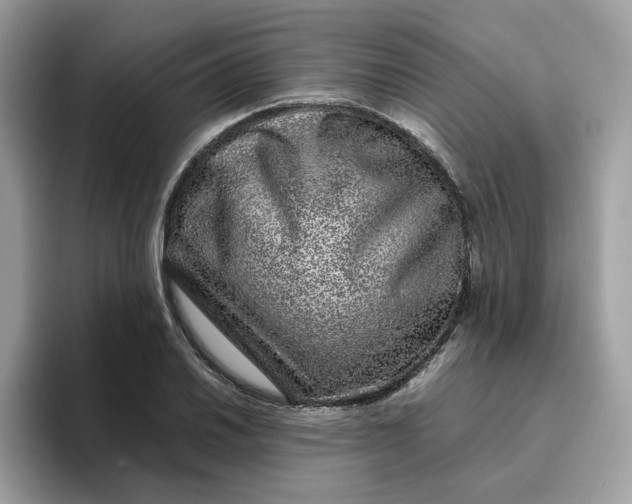 X0000095951030200801251126