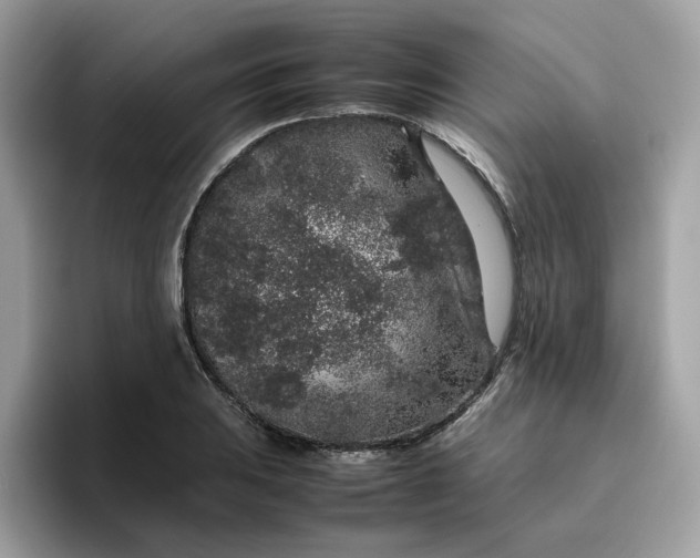 X0000095951031200801251126