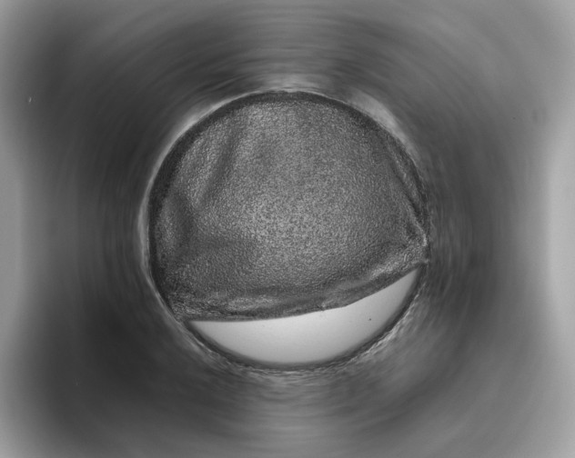 X0000095951032200801251126