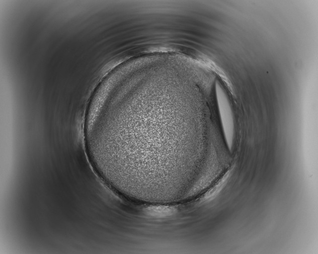 X0000095951033200801251126