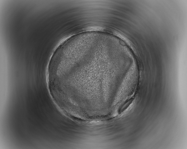 X0000095951034200801251126