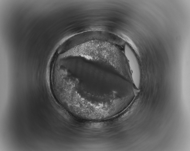 X0000095951035200801251126