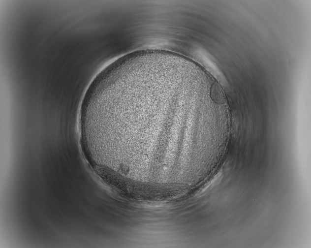 X0000095951036200801251126