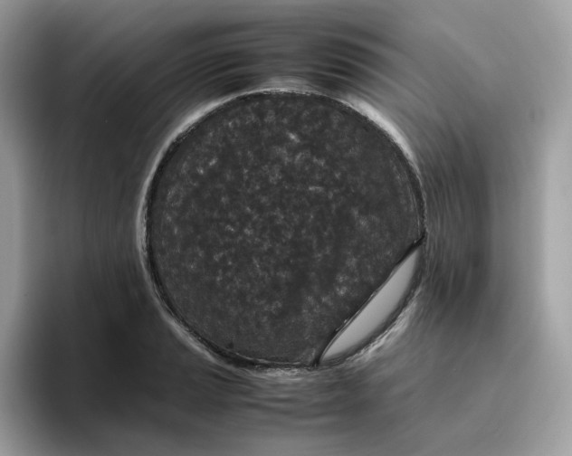 X0000095951037200801251126