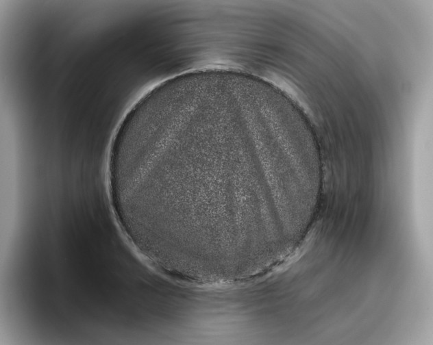 X0000095951038200801251126