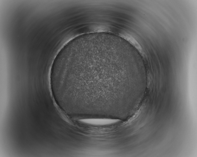 X0000095951039200801251126