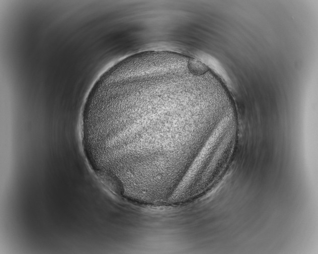 X0000095951040200801251126