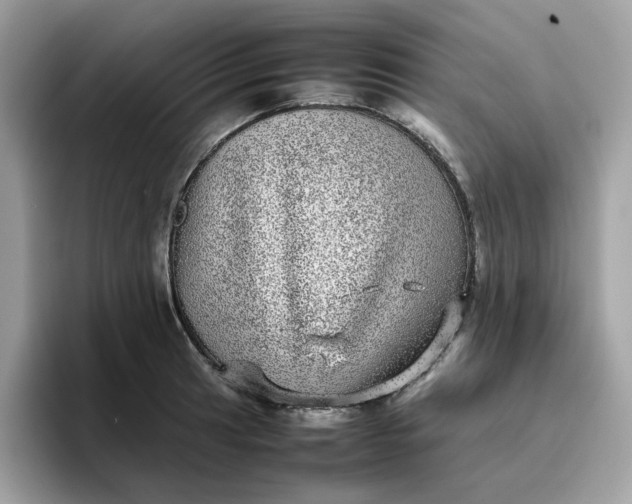 X0000095951041200801251126