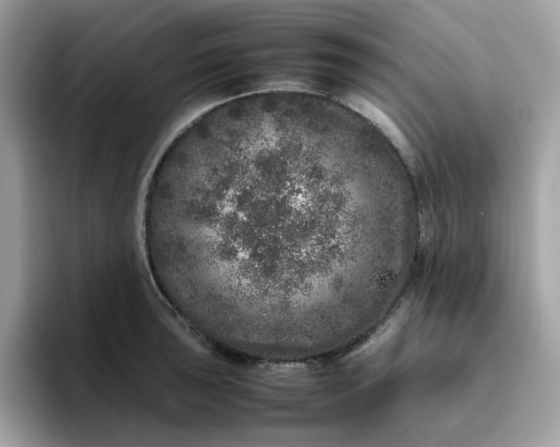 X0000095951043200801251126