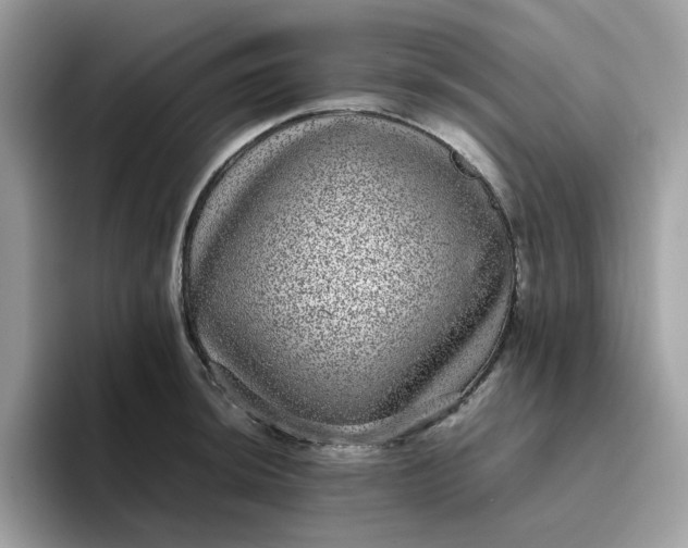 X0000095951044200801251126