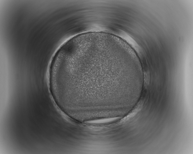 X0000095951046200801251126