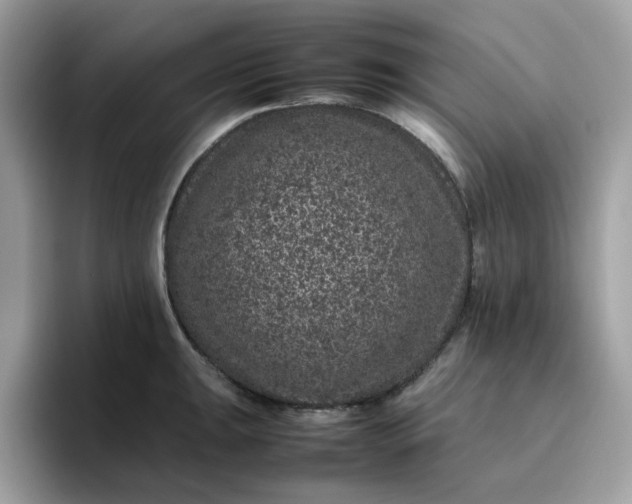 X0000095951047200801251126