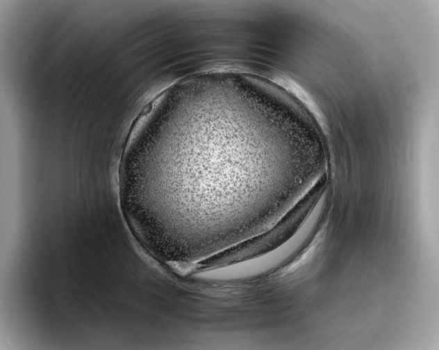 X0000095951049200801251126