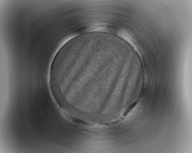 X0000095951050200801251126