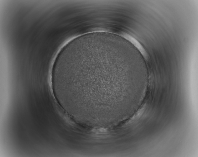 X0000095951051200801251126