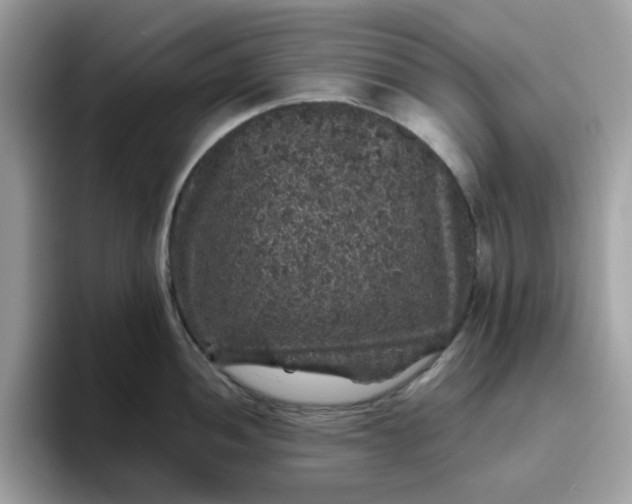 X0000095951052200801251126