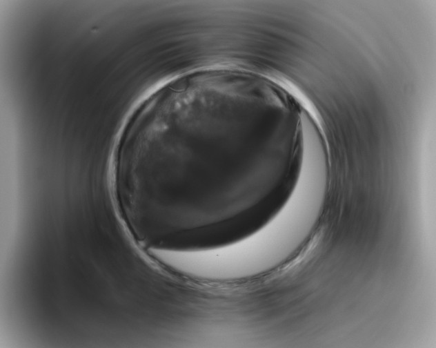 X0000095951053200801251126