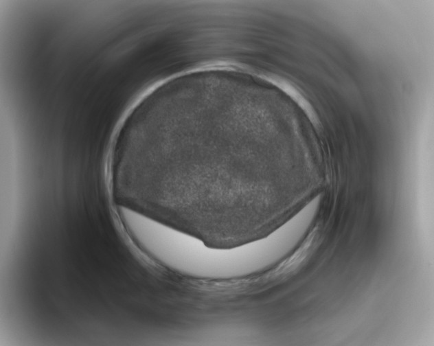 X0000095951054200801251126