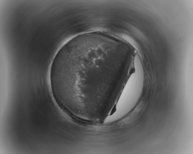 X0000095951055200801251126