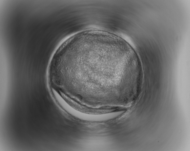 X0000095951056200801251126