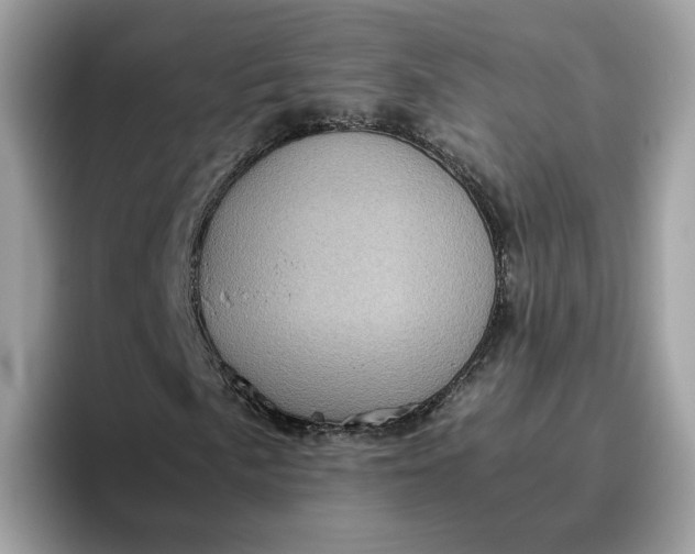 X0000095951057200801251125